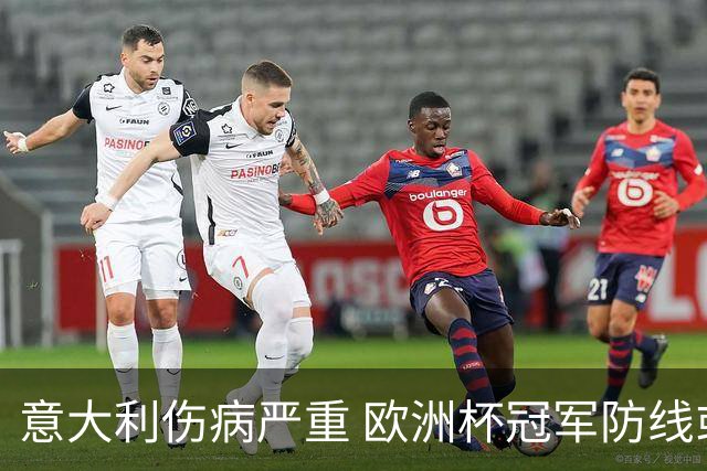 意大利伤病严重 欧洲杯冠军防线或全部无法上场